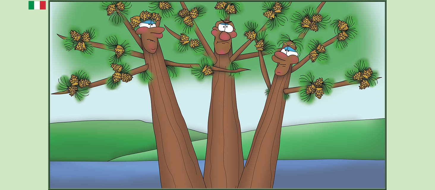 Bizzy Buddies Snail's Pace Productions storie illustrate umoristiche tradotte dall'inglese portoghese spagnola italiana francese tedesca Vuja Day