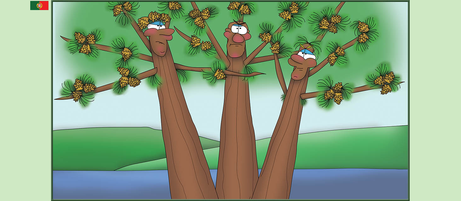 Bizzy Buddies Snail's Pace Productions The Three Tree Brothers Historias educativas ilustradas e bem-humoradas em varias linguas