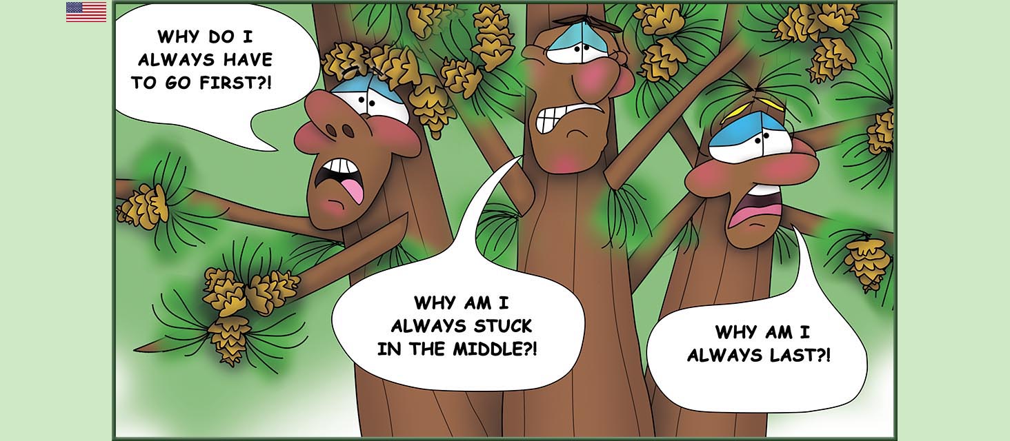 Bizzy Buddies Snail's Pace Productions The Three Tree Brothers Educational Illustrated Stories Multi Lingual Languages