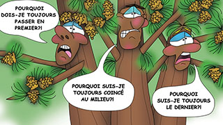 The Bizzy Buddies Snail's Pace Productions Humorous Illustrated Story French Language English Translation