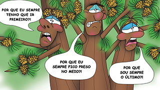 The Bizzy Buddies Snail's Pace Productions Humorous Illustrated Story Portuguese Language English Translation