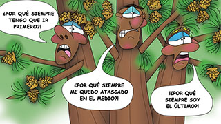 The Bizzy Buddies Snail's Pace Productions Humorous Illustrated Story Spanish Language English Translation