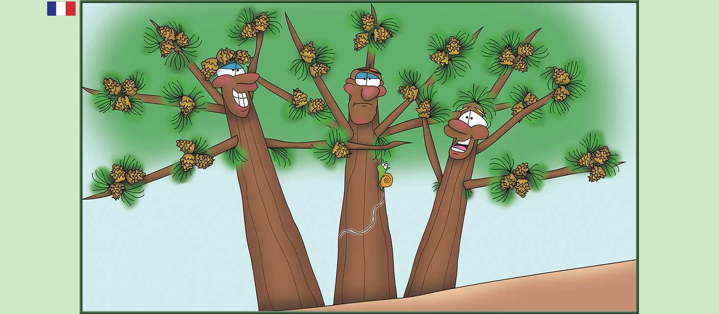 Bizzy Buddies Snail's Pace Productions Des histoires educatives illustrees et humoristiques en plusierur langues Vuja Day Multi Lingual Languages