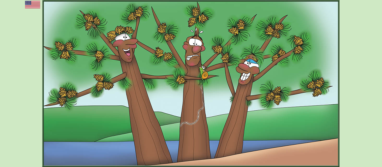 Bizzy Buddies Snail's Pace Productions The Three Tree Brothers Educational Illustrated Stories Multi Lingual Languages