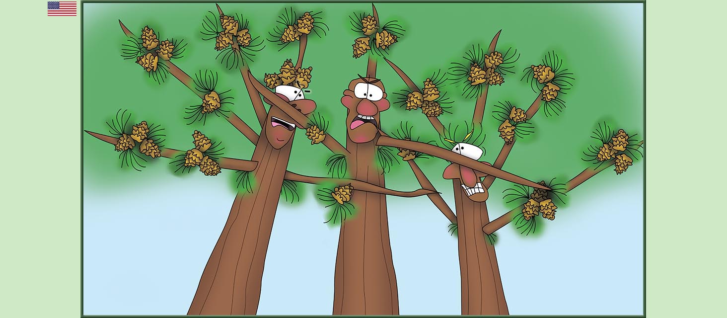 Bizzy Buddies Snail's Pace Productions The Three Tree Brothers Educational Illustrated Stories Multi Lingual Languages