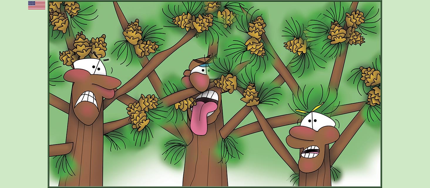 Bizzy Buddies Snail's Pace Productions The Three Tree Brothers Educational Illustrated Stories Multi Lingual Languages