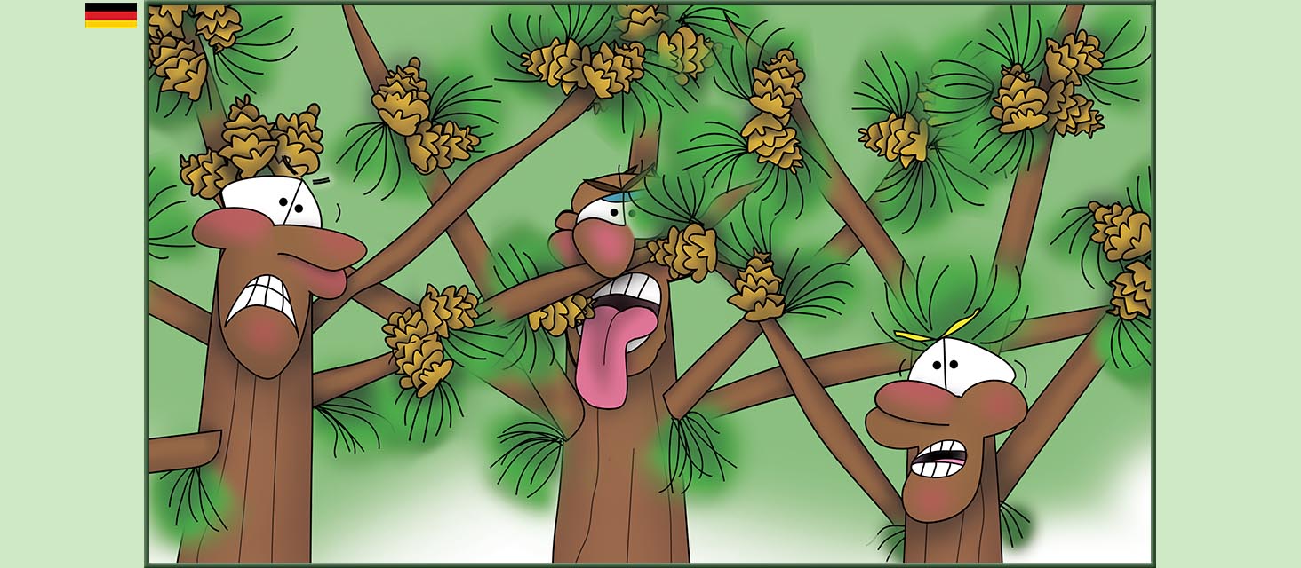 Bizzy Buddies Snail's Pace Productions Die Drei Baumbruder Aus dem Englishchen ins Deutsche ubersetzt Vuja Day Multi Lingual Languages