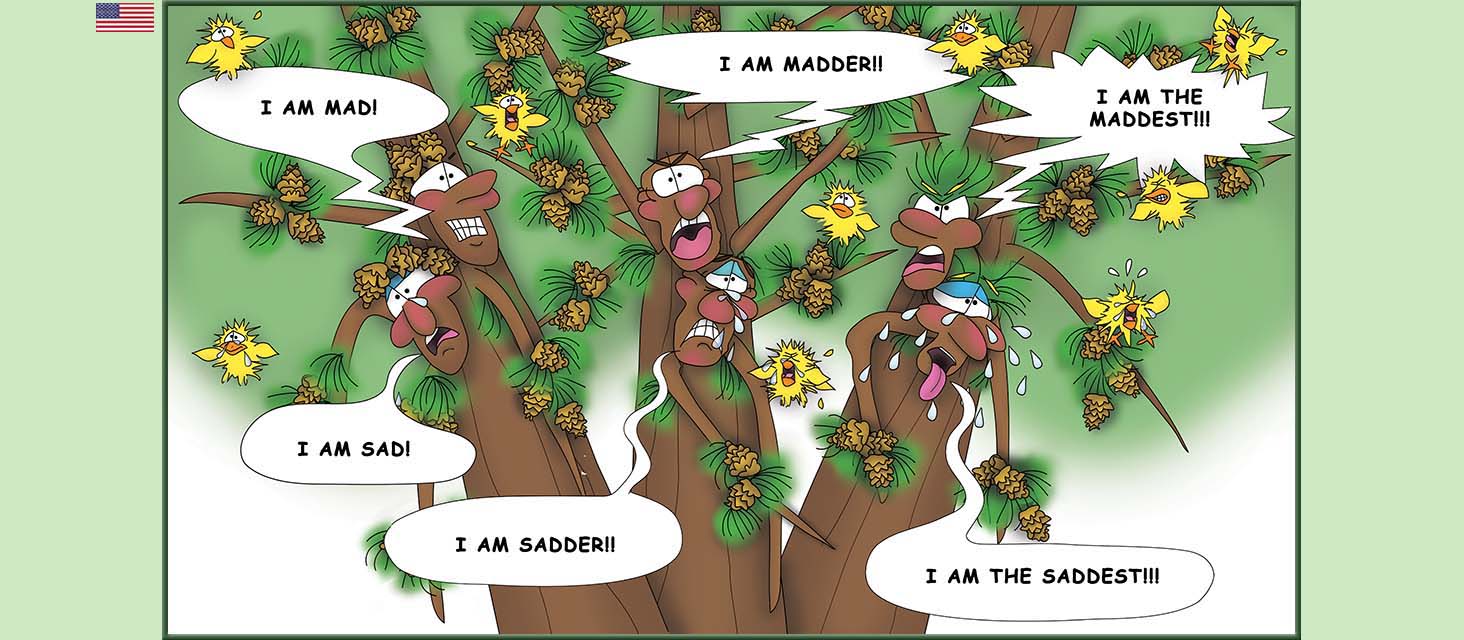 Bizzy Buddies Snail's Pace Productions The Three Tree Brothers Educational Illustrated Stories Multi Lingual Languages