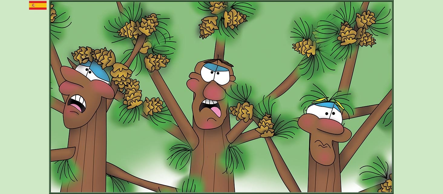 Bizzy Buddies Snail's Pace Productions Los Tres Hermanos Árbol Cuentos educativos ilustrados y humoristicos en varios idiomas