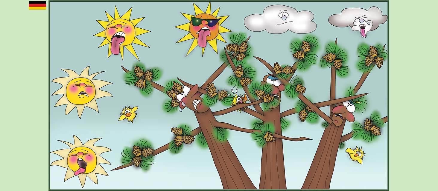 Bizzy Buddies Snail's Pace Productions Die Drei Baumbruder Aus dem Englishchen ins Deutsche ubersetzt Vuja Day Multi Lingual Languages