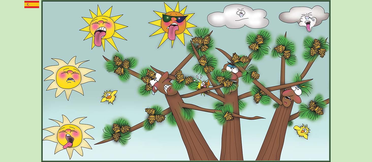 Bizzy Buddies Snail's Pace Productions Los Tres Hermanos Árbol Cuentos educativos ilustrados y humoristicos en varios idiomas