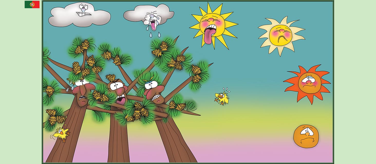 Bizzy Buddies Snail's Pace Productions The Three Tree Brothers Historias educativas ilustradas e bem-humoradas em varias linguas