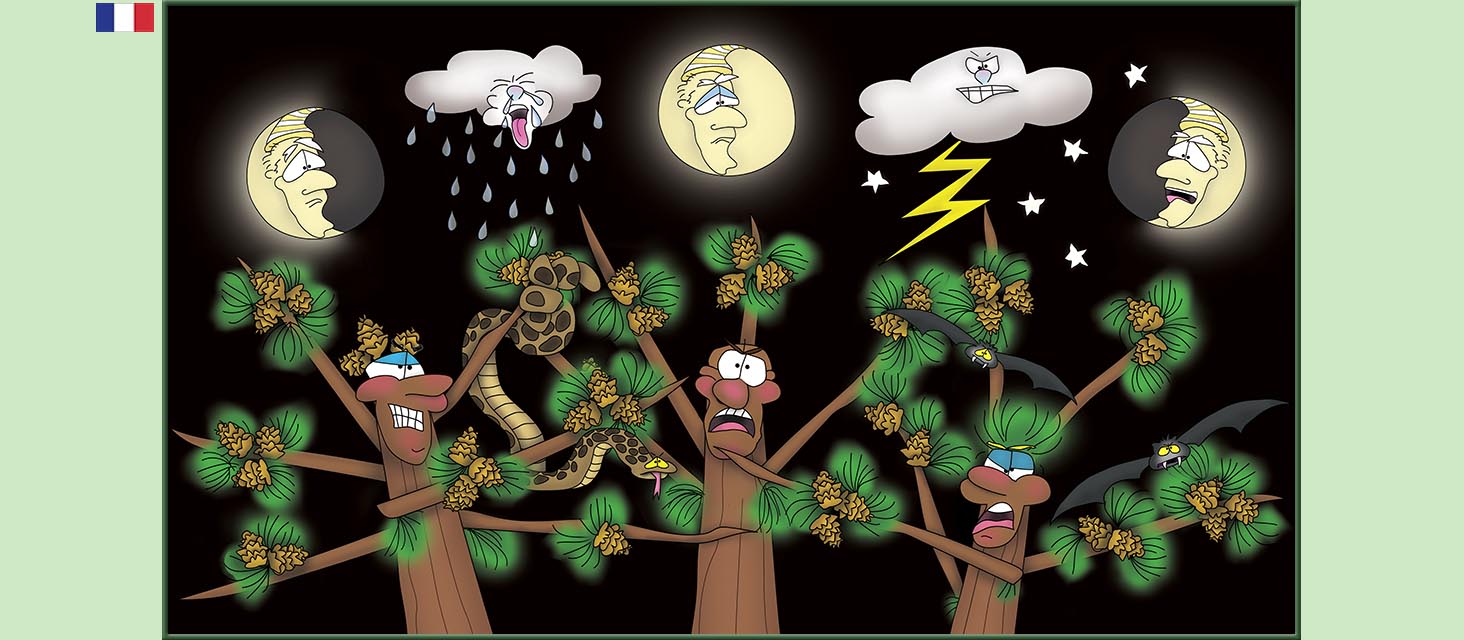 Bizzy Buddies Snail's Pace Productions Des histoires educatives illustrees et humoristiques en plusierur langues Vuja Day Multi Lingual Languages