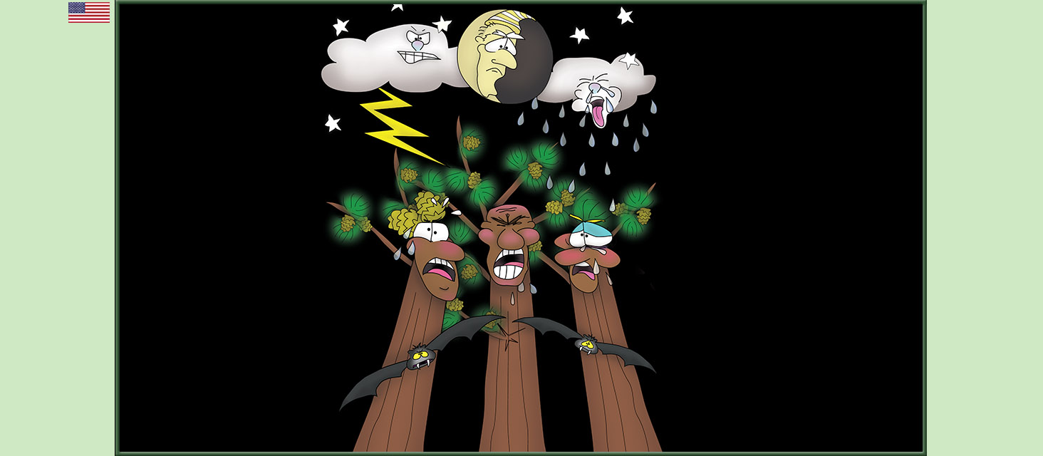 Bizzy Buddies Snail's Pace Productions The Three Tree Brothers Educational Illustrated Stories Multi Lingual Languages