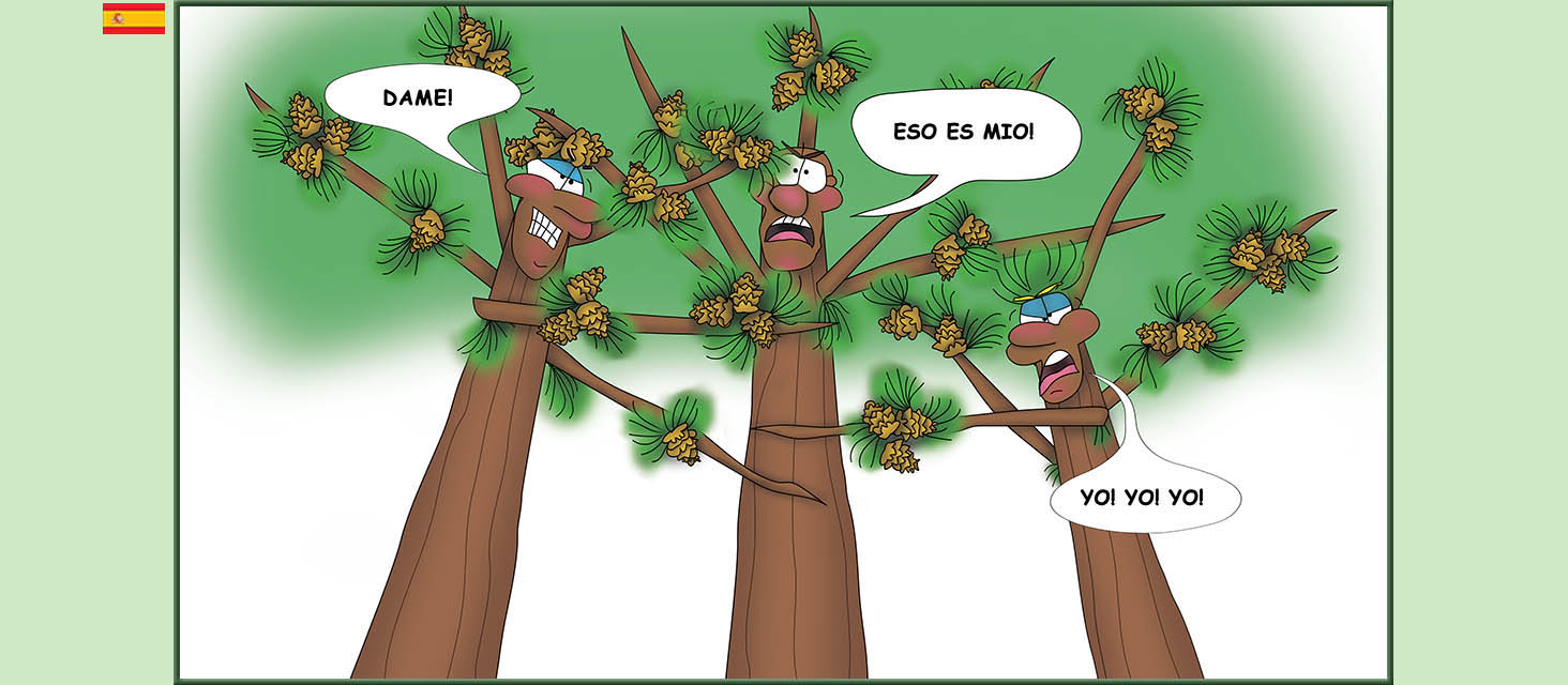 Bizzy Buddies Snail's Pace Productions Los Tres Hermanos Árbol Cuentos educativos ilustrados y humoristicos en varios idiomas