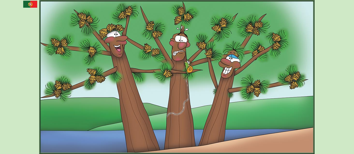 Bizzy Buddies Snail's Pace Productions The Three Tree Brothers Historias educativas ilustradas e bem-humoradas em varias linguas