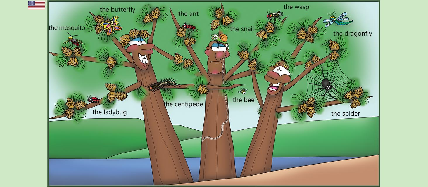 Bizzy Buddies Snail's Pace Productions The Three Tree Brothers Educational Illustrated Stories Multi Lingual Languages