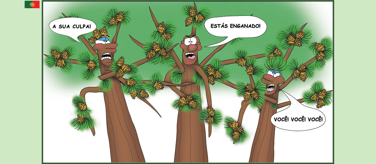 Bizzy Buddies Snail's Pace Productions The Three Tree Brothers Historias educativas ilustradas e bem-humoradas em varias linguas