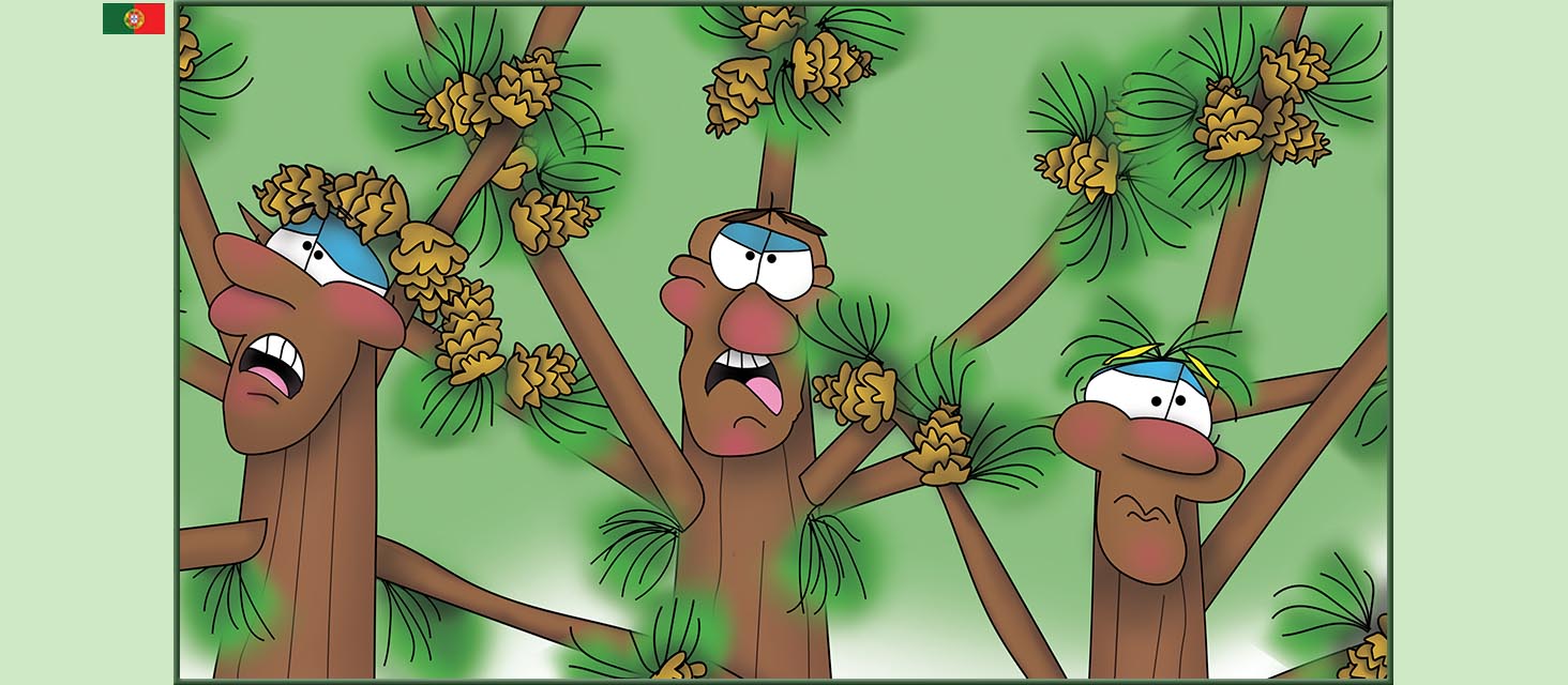 Bizzy Buddies Snail's Pace Productions The Three Tree Brothers Historias educativas ilustradas e bem-humoradas em varias linguas