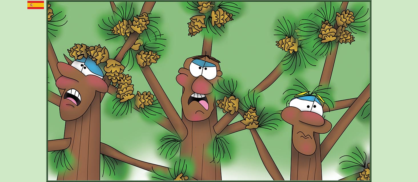 Bizzy Buddies Snail's Pace Productions Los Tres Hermanos Árbol Cuentos educativos ilustrados y humoristicos en varios idiomas