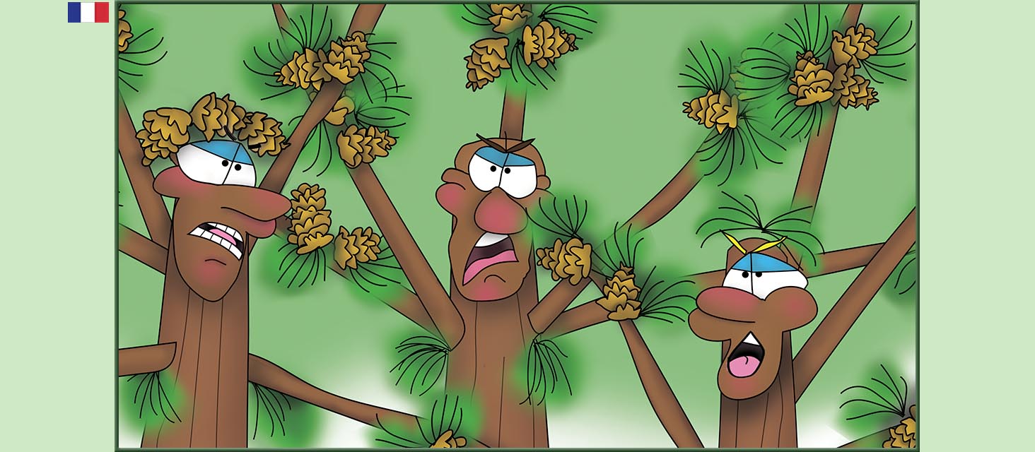 Bizzy Buddies Snail's Pace Productions Des histoires educatives illustrees et humoristiques en plusierur langues Vuja Day Multi Lingual Languages