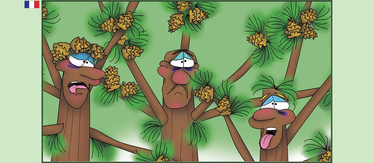 Bizzy Buddies Snail's Pace Productions Des histoires educatives illustrees et humoristiques en plusierur langues Vuja Day Multi Lingual Languages