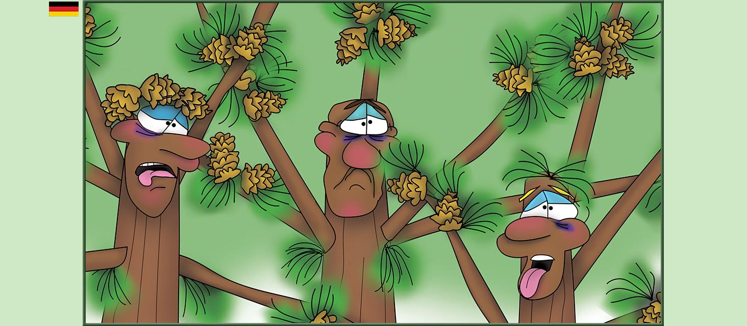 Bizzy Buddies Snail's Pace Productions Die Drei Baumbruder Aus dem Englishchen ins Deutsche ubersetzt Vuja Day Multi Lingual Languages