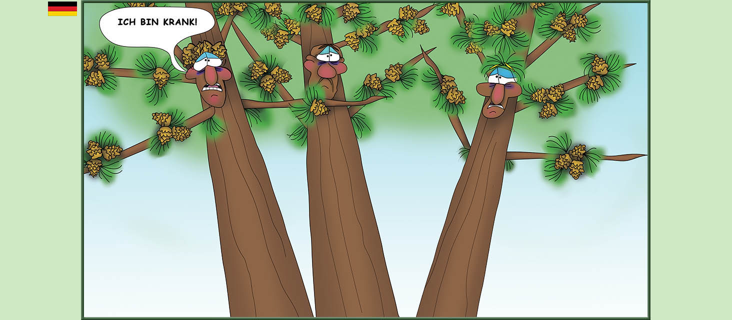 Bizzy Buddies Snail's Pace Productions Die Drei Baumbruder Aus dem Englishchen ins Deutsche ubersetzt Vuja Day Multi Lingual Languages