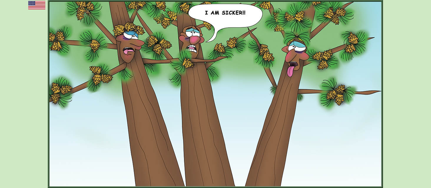 Bizzy Buddies Snail's Pace Productions The Three Tree Brothers Educational Illustrated Stories Multi Lingual Languages