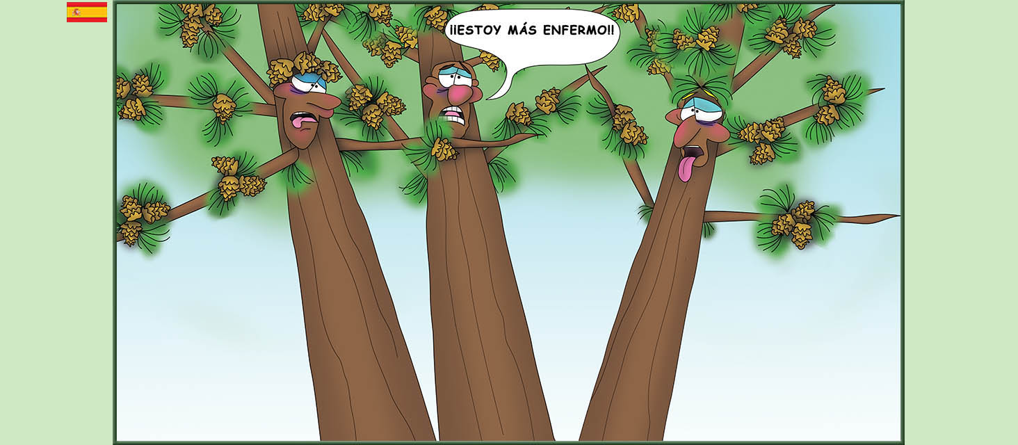 Bizzy Buddies Snail's Pace Productions Los Tres Hermanos Árbol Cuentos educativos ilustrados y humoristicos en varios idiomas