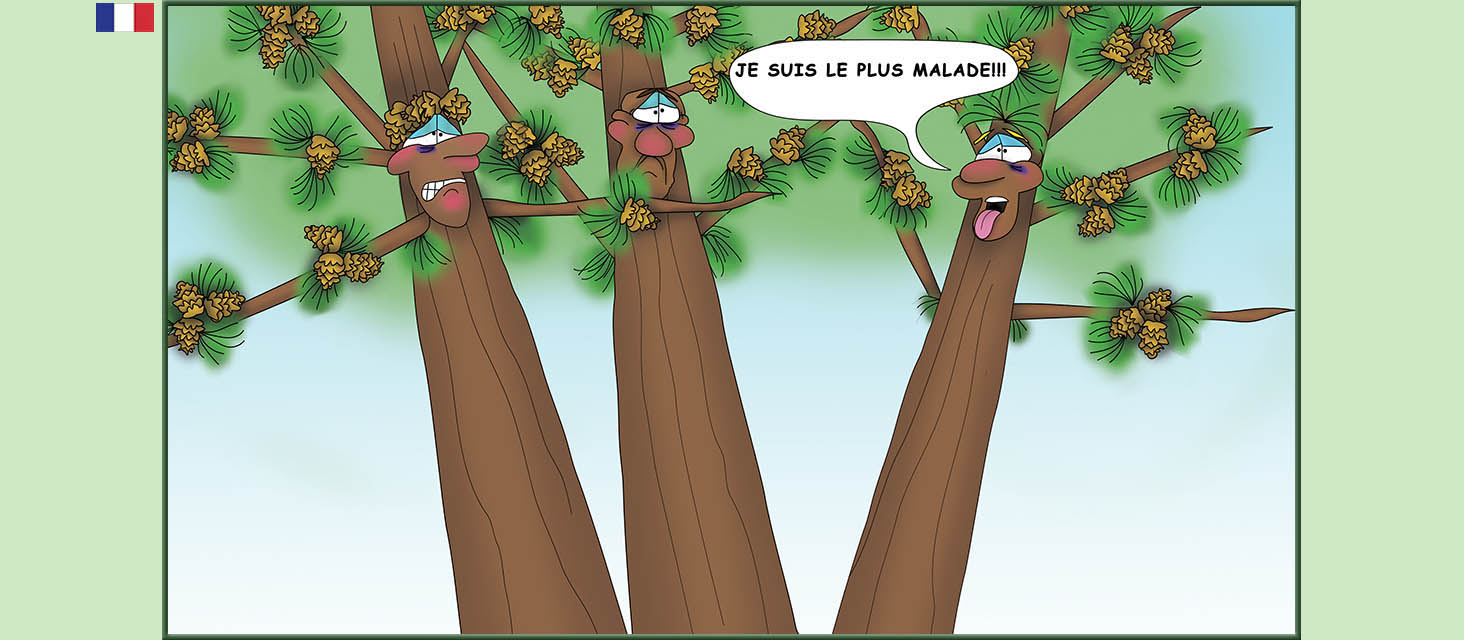 Bizzy Buddies Snail's Pace Productions Des histoires educatives illustrees et humoristiques en plusierur langues Vuja Day Multi Lingual Languages