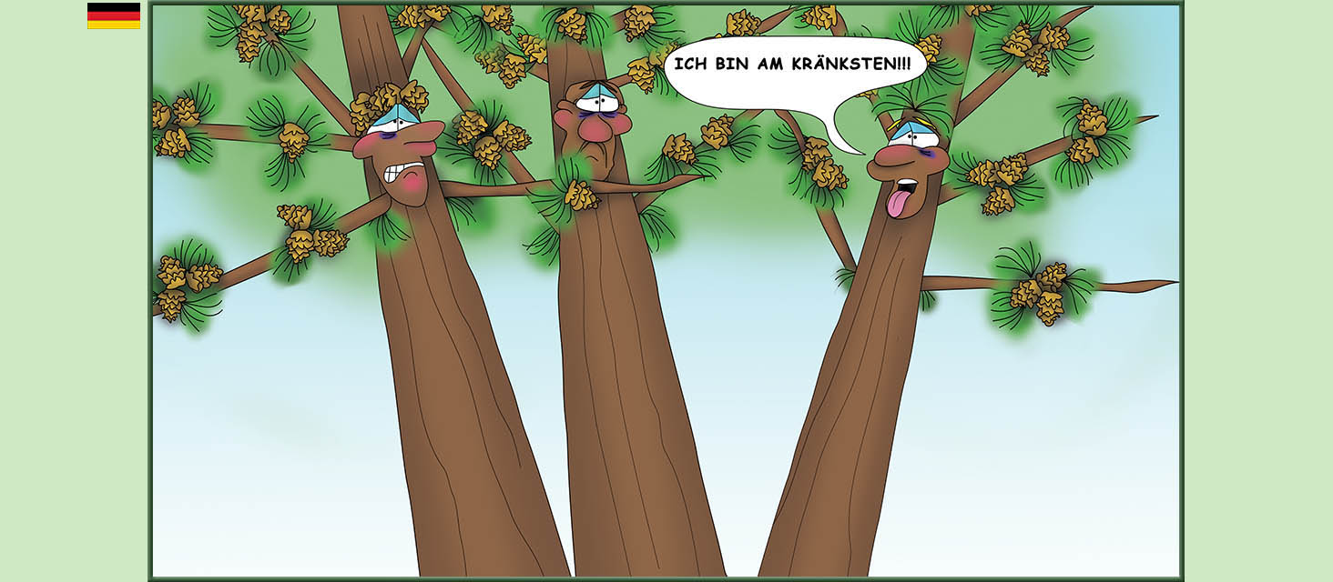 Bizzy Buddies Snail's Pace Productions Die Drei Baumbruder Aus dem Englishchen ins Deutsche ubersetzt Vuja Day Multi Lingual Languages