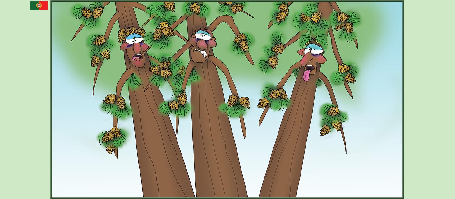 Bizzy Buddies Snail's Pace Productions The Three Tree Brothers Historias educativas ilustradas e bem-humoradas em varias linguas