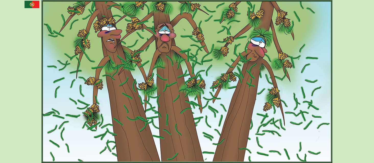 Bizzy Buddies Snail's Pace Productions The Three Tree Brothers Historias educativas ilustradas e bem-humoradas em varias linguas