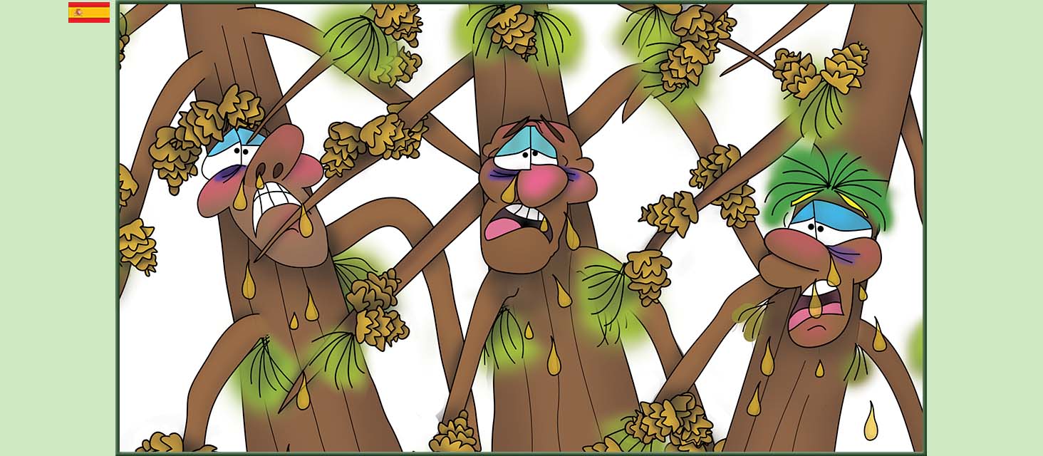 Bizzy Buddies Snail's Pace Productions Los Tres Hermanos Árbol Cuentos educativos ilustrados y humoristicos en varios idiomas