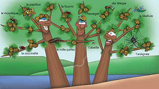 The Bizzy Buddies Snail's Pace Productions Humorous Illustrated Story French Language English Translation