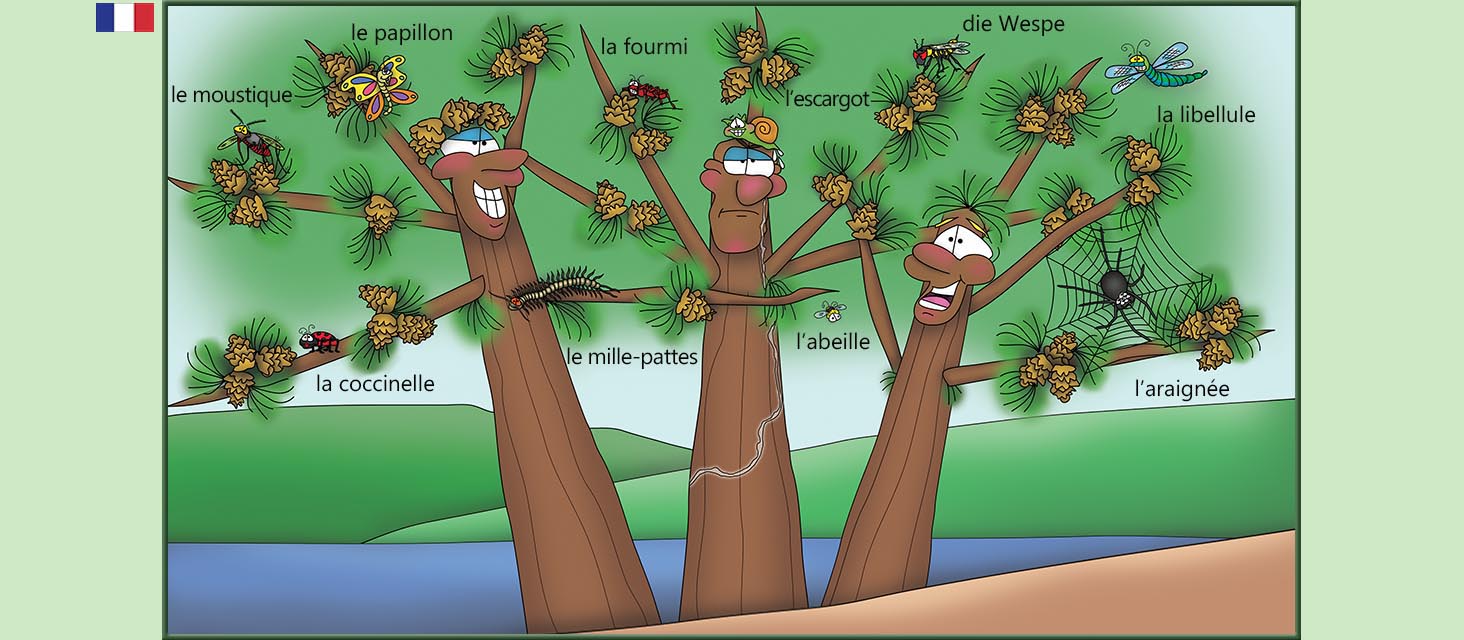 Bizzy Buddies Snail's Pace Productions Des histoires educatives illustrees et humoristiques en plusierur langues Vuja Day Multi Lingual Languages