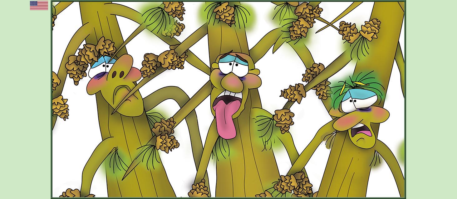 Bizzy Buddies Snail's Pace Productions The Three Tree Brothers Educational Illustrated Stories Multi Lingual Languages