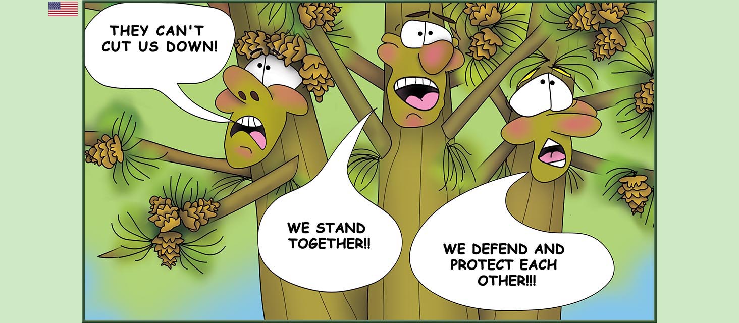 Bizzy Buddies Snail's Pace Productions The Three Tree Brothers Educational Illustrated Stories Multi Lingual Languages