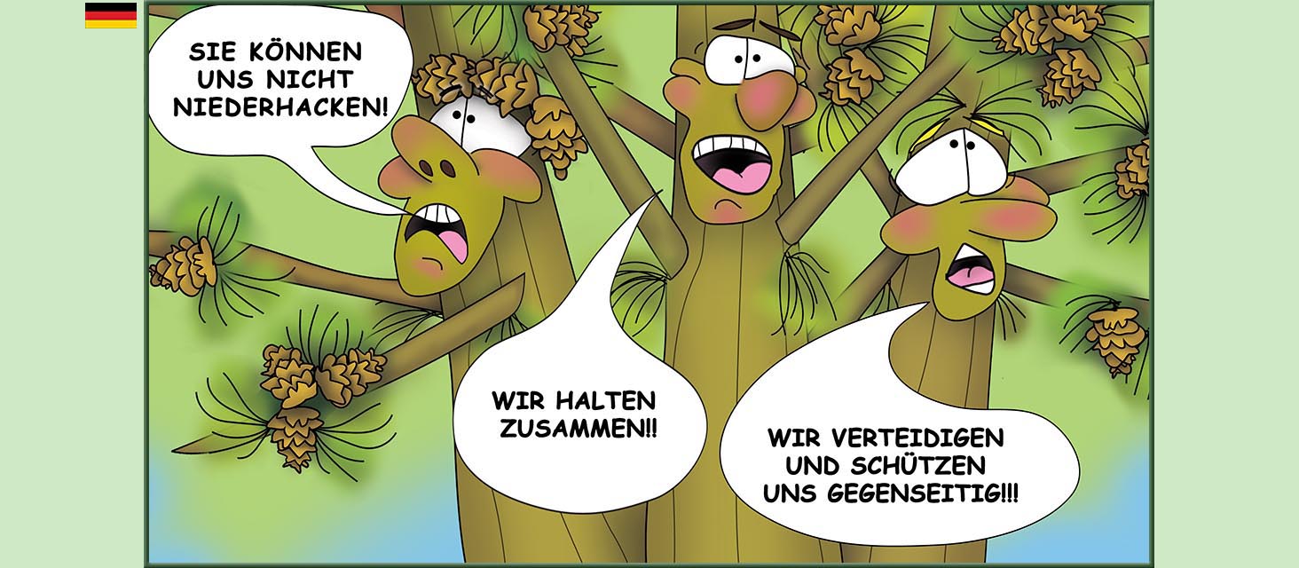 Bizzy Buddies Snail's Pace Productions Die Drei Baumbruder Aus dem Englishchen ins Deutsche ubersetzt Vuja Day Multi Lingual Languages