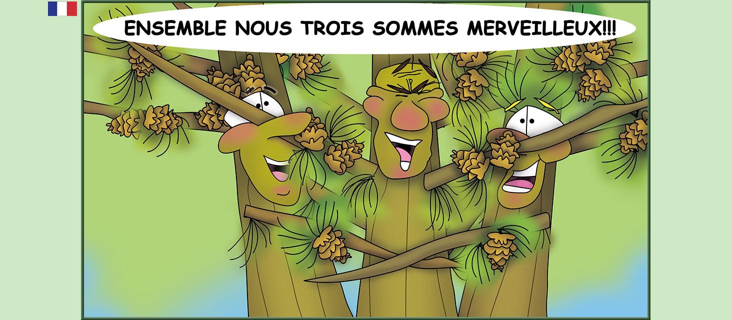 Bizzy Buddies Snail's Pace Productions Des histoires educatives illustrees et humoristiques en plusierur langues Vuja Day Multi Lingual Languages