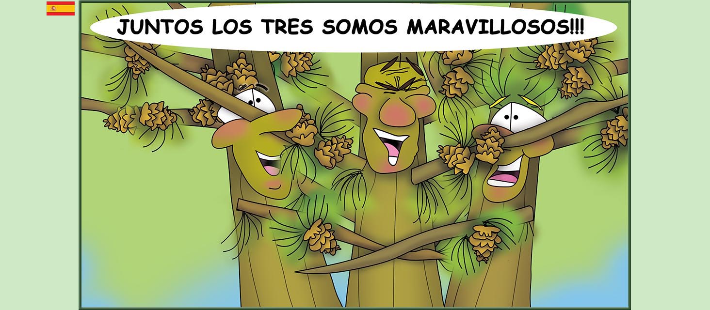 Bizzy Buddies Snail's Pace Productions Los Tres Hermanos Árbol Cuentos educativos ilustrados y humoristicos en varios idiomas