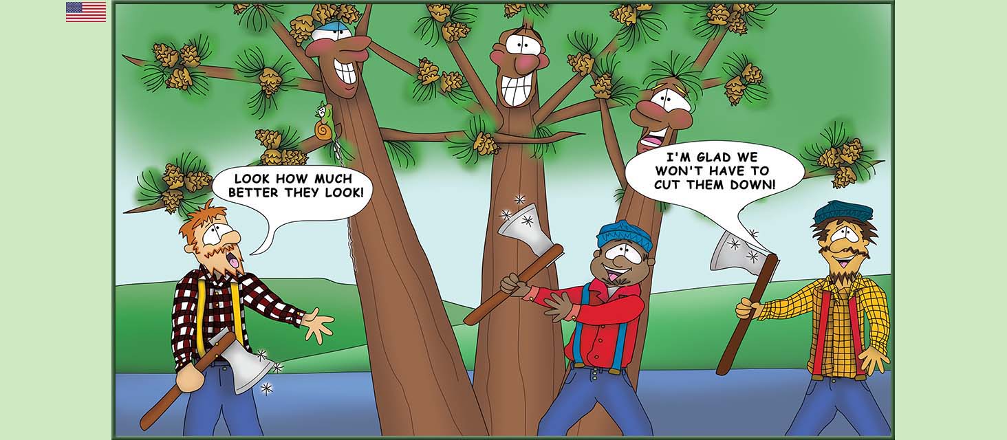 Bizzy Buddies Snail's Pace Productions The Three Tree Brothers Educational Illustrated Stories Multi Lingual Languages