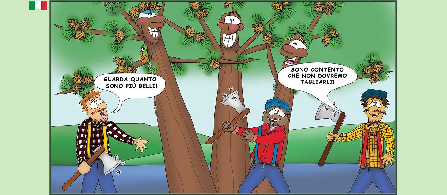 Bizzy Buddies Snail's Pace Productions storie illustrate umoristiche tradotte dall'inglese portoghese spagnola italiana francese tedesca Vuja Day