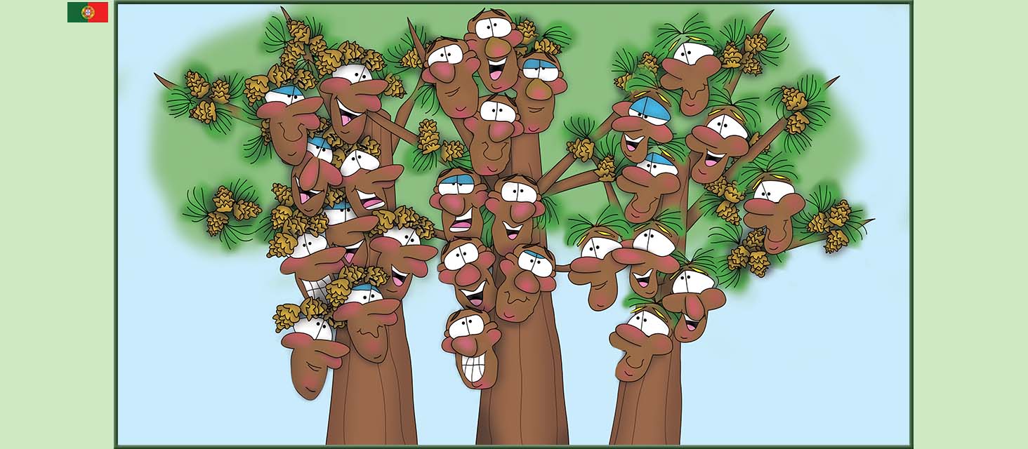 Bizzy Buddies Snail's Pace Productions The Three Tree Brothers Historias educativas ilustradas e bem-humoradas em varias linguas