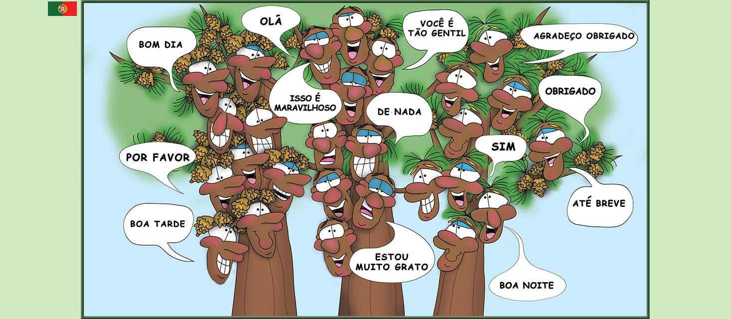 Bizzy Buddies Snail's Pace Productions The Three Tree Brothers Historias educativas ilustradas e bem-humoradas em varias linguas