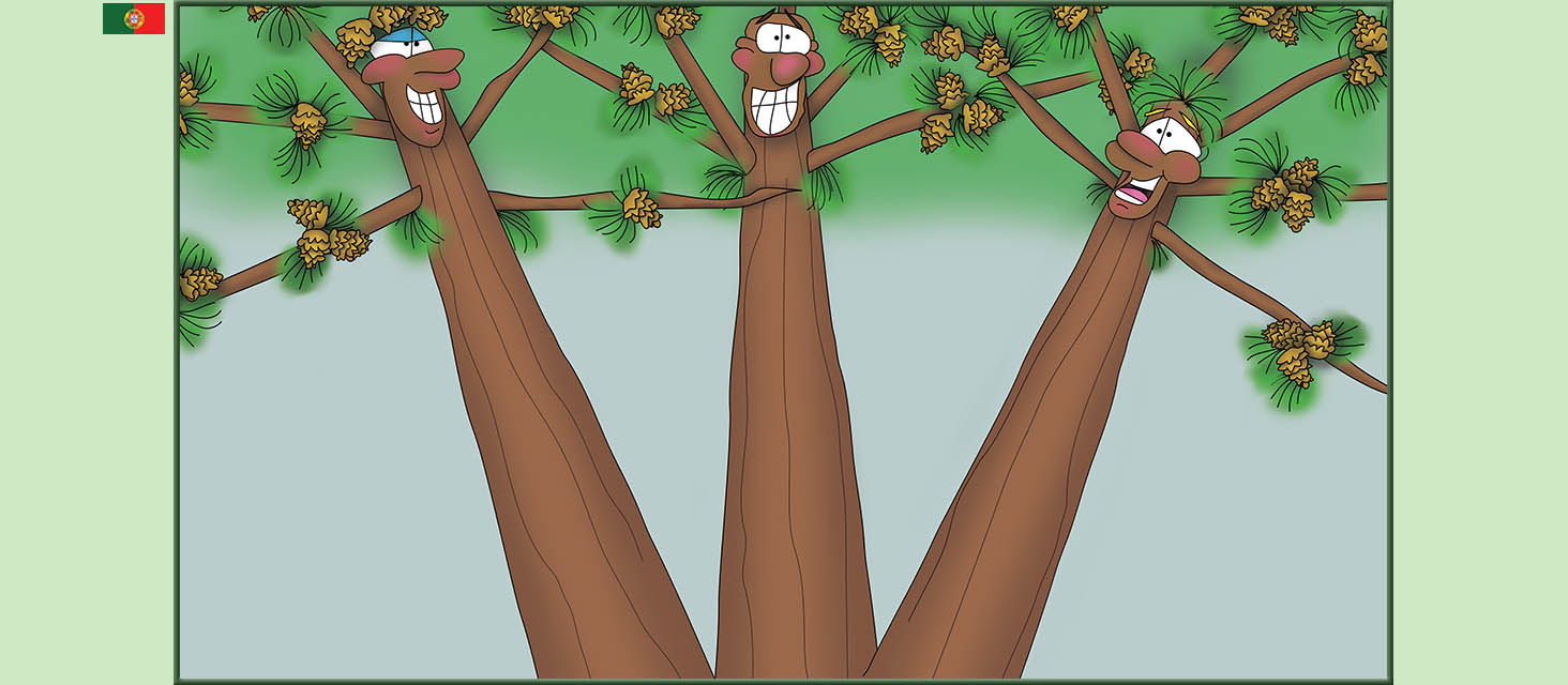 Bizzy Buddies Snail's Pace Productions The Three Tree Brothers Historias educativas ilustradas e bem-humoradas em varias linguas