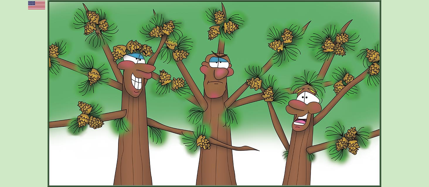 Bizzy Buddies Snail's Pace Productions The Three Tree Brothers Educational Illustrated Stories Multi Lingual Languages