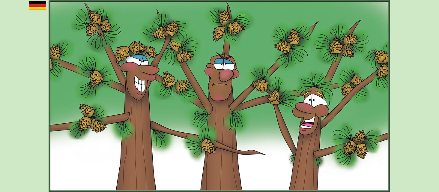 Bizzy Buddies Snail's Pace Productions Die Drei Baumbruder Aus dem Englishchen ins Deutsche ubersetzt Vuja Day Multi Lingual Languages