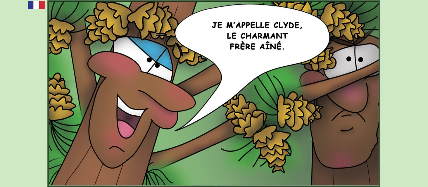 Bizzy Buddies Snail's Pace Productions Des histoires educatives illustrees et humoristiques en plusierur langues Vuja Day Multi Lingual Languages